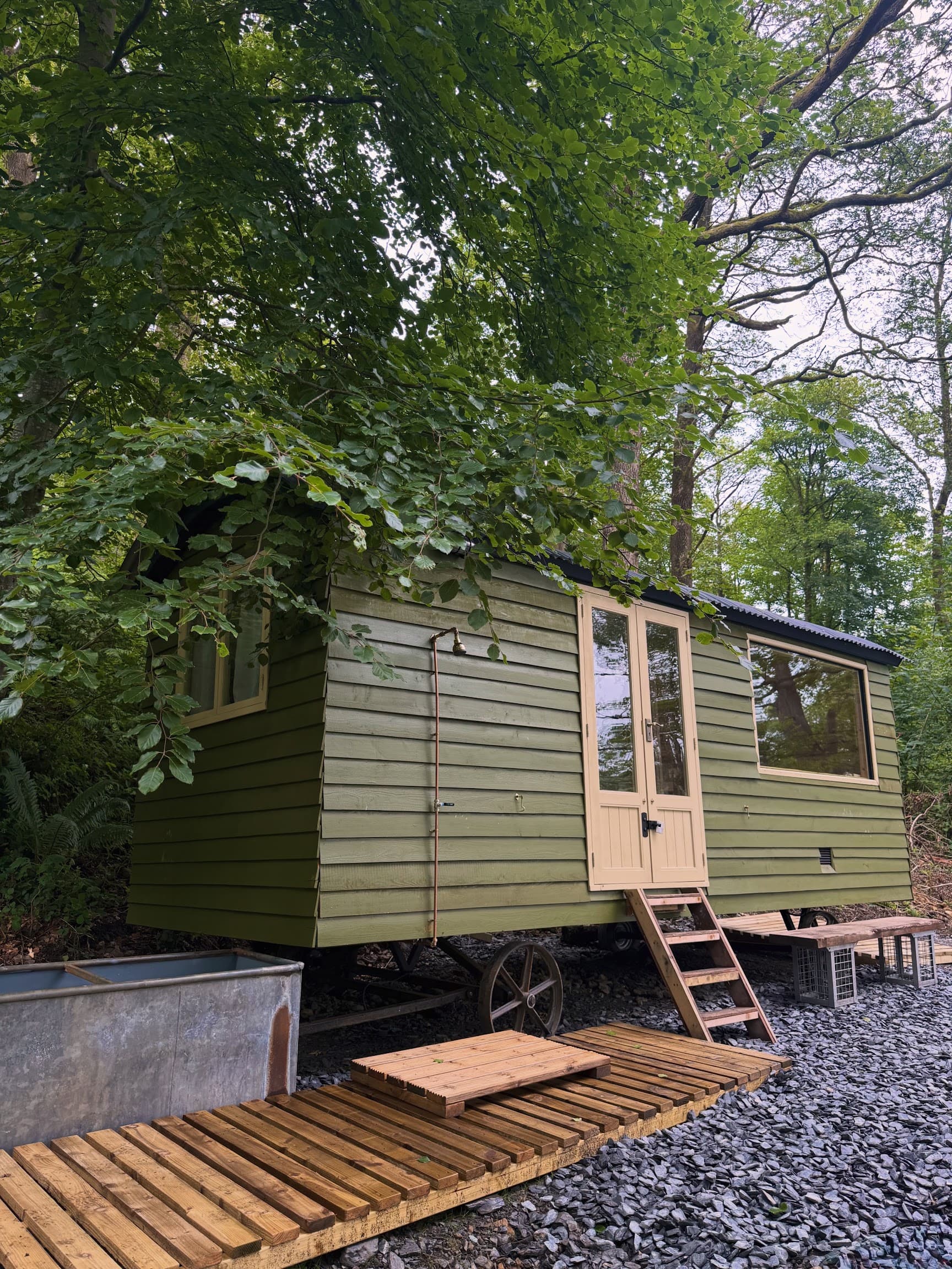 The whole of Hide's green timber cabin under the beech trees, with its copper outdoor shower, steps and the plunge tub beside the deck