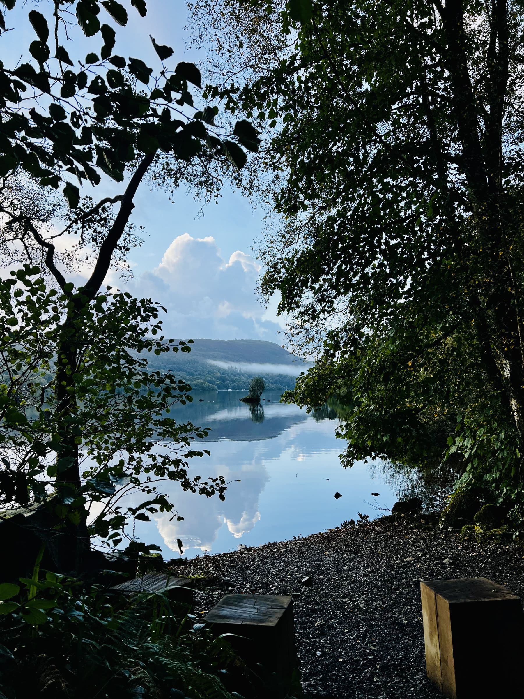 Overhanging trees framing the still lake, its stony shore and a small tree-topped island reflected under the cloud