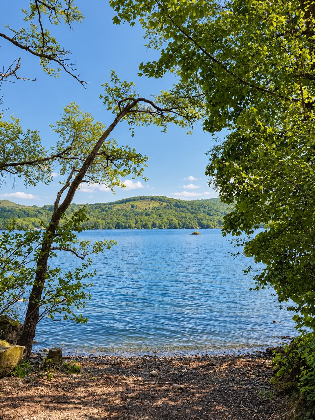Blue summer water on Windermere framed by trees, the wooded far shore beyond